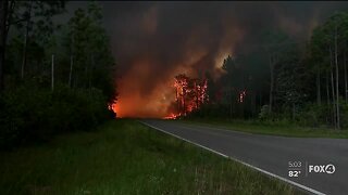 Several Florida counties monitoring wildfires