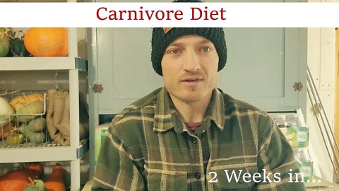 Carnivore Diet : 2 Week Update | Adventures In reality