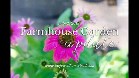 Farmhouse Garden Update (July 2) | Is it ever going to grow?