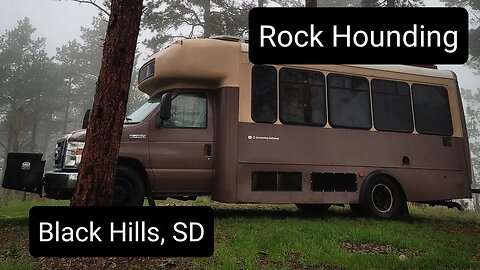 Rock Hounding in Black Hills, SD || Shuttle Bus Life