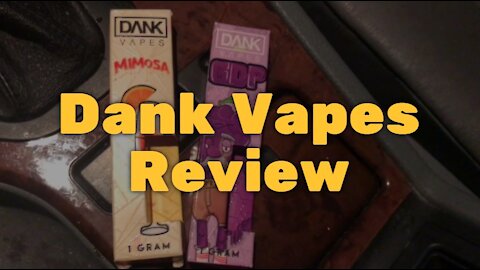 Dank Vapes Review: High Quality Oil Gives Strong and Tasteful Hits