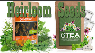 Culinary Herb Collection & Tea Seeds Pack ~ Heirloom Seeds