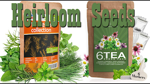 Culinary Herb Collection & Tea Seeds Pack ~ Heirloom Seeds