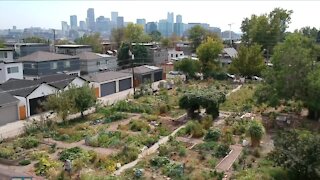 No room to grow: Denver Urban Garden plans to sell El Oasis location