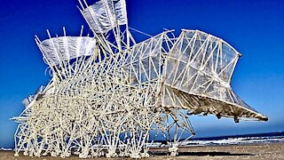 Living Sculptures Move Without Electricity - Theo Jansen's Strandbeests