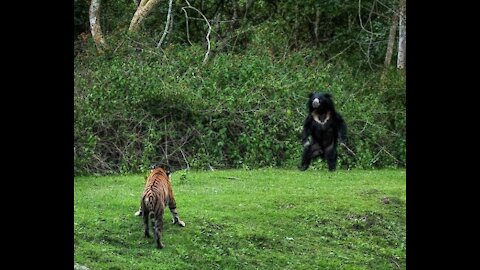 Sher Khan and Babloo