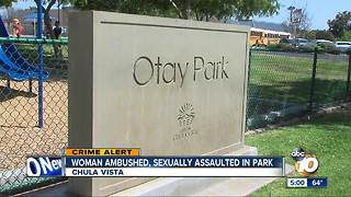 Woman ambushed, assaulted in park