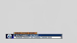 Woman seen taking dog from residence on Detroit's southwest side