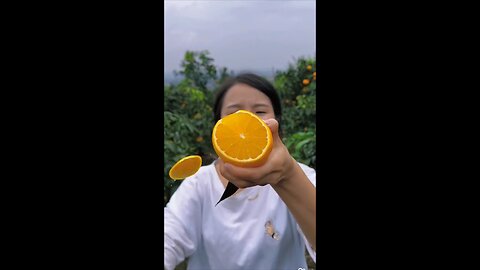 Oranges 🍊 harvesting #rumble #amazing #trending #viral #youtube #tiktok