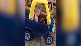 Driving Chicken Fails