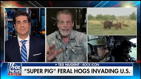 Ted Nugent Has The Best Way To Stop The Super Pig Feral Hog Invasion