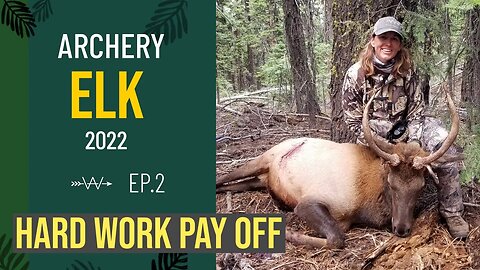 Archery elk hunt success | THE HARD WORK PAY OFF |2022| Ep.2