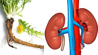 7 Best Herbs For Natural Kidney Cleansing