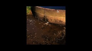 STOCK TROUGH REPAIR - leaking concrete water tank repair process -