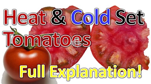 Heat & Cold Set Tomatoes (Pat-b) Explained