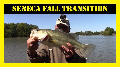 Seneca Lake Ohio Fall Transition