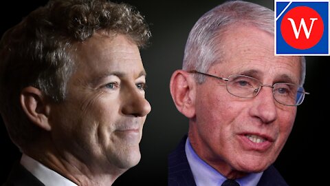 Rand Paul RIPS Into Fauci