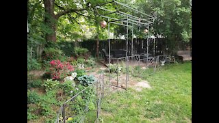 Building our Shade Garden Torii Gateway