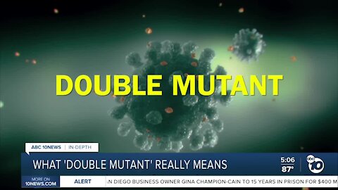 Double Mutant variant from India found in California