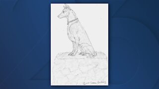 Memorial proposed for Green Bay Police K9s