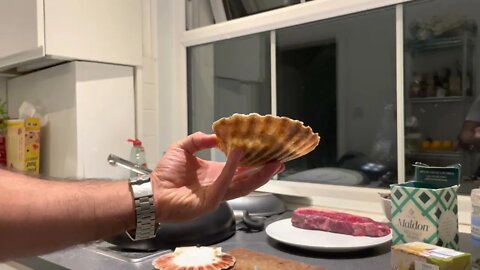 How to Open and Clean Fresh Scallops (2/2) 4K Video