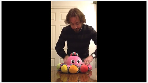 Talented Man Plays Classic Club Song On Honking Toy Octopus