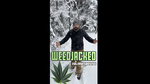 Weed confiscated by Ski Partol!?