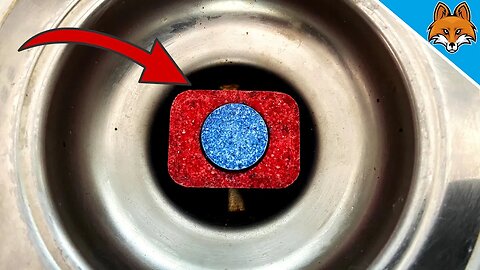 THIS is why you should put a Dishwashing Tab down your Drain 💥