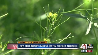 Biologic therapy proves effective treating allergies