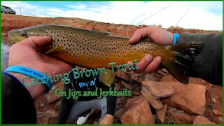 Jerkbait Brown Trout