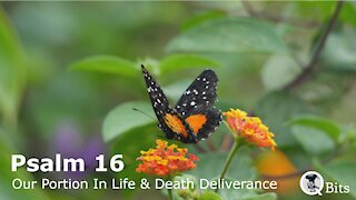 PSALM 016 // OUR PORTION IN LIFE AND DELIVERER IN DEATH