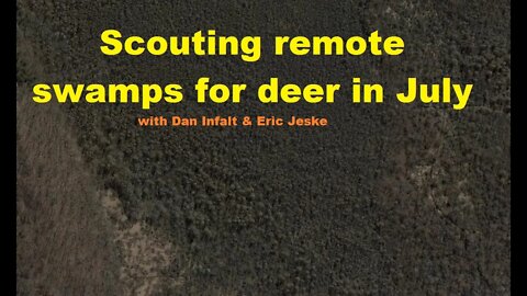 Summer scouting a new swamp for deer spots