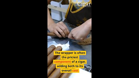 The Priciest Part of Your Cigar? Discover the Power of the Wrapper! 🎩🍂 | Cigar Facts #19