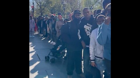 African invaders lined up at NY city hall demanding hotels instead of shelters