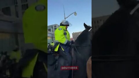 Police horses trampling people in Ottawa today!!