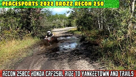 2022 Peacesports Brozz Recon 250 and CRF250L ride to Yankeetown side roads and panty trail.
