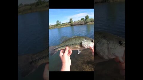 PERSONAL BEST largemouth bass - Colorado fishing