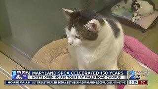 Maryland SPCA celebrates 150 years