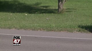 Man wants sidewalks along busy road