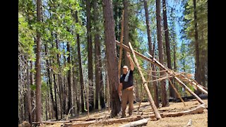 Plumas Sasquatch Teepees