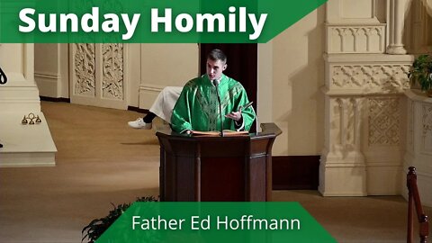 Homily for the Seventh Sunday in Ordinary Time - Father Ed Hoffmann