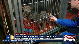 Tulsa SPCA expanding services