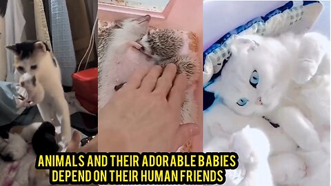 Animals and Their Adorable Babies Depend on Their Human Friends