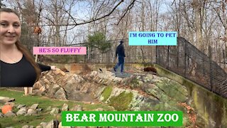 Bear Mountain Zoo and NY City drive