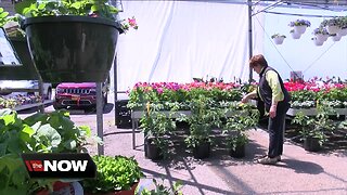 Gardeners can rent space at Lockwood's Garden Center in Hamburg