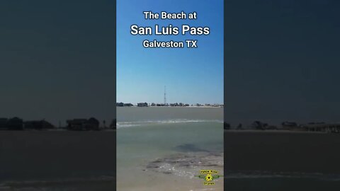 The beach at San Luis Pass on Galveston Island Texas. Very scenic and the seagulls agreed.