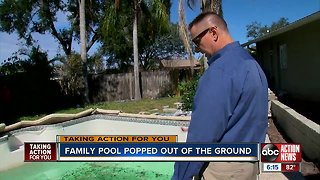 Tampa family’s pool pops out of the ground after hiring unlicensed pool contractor