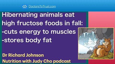 RICHARD JOHNSON 5 | Hibernating animals eat high fructose foods in fall: -cuts energy -stores fat