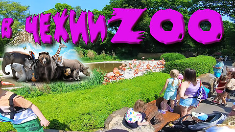 Зоопарк в Чехии Zoologická zahrada v České republice