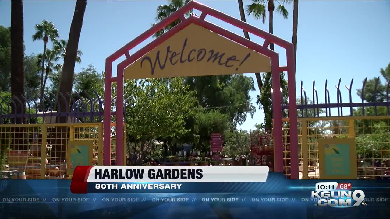 Harlow Gardens celebrates 80 years of business